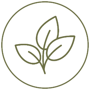 A minimalist olive green line icon of three leaves inside a circle, centered on a white background.